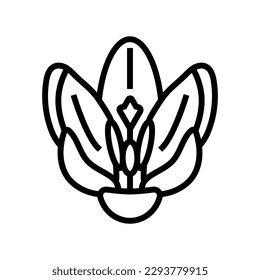 crocus flower spring line icon vector. crocus flower spring sign. isolated contour symbol black illustration