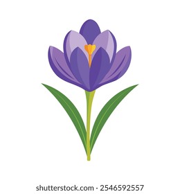 Crocus Flower, Vibrant
Crocus Vector Illustration - Delicate Purple Petals with
a Bright Yellow Center.