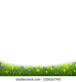 Crocus Flowers Border With Grass With Gradient Mesh, Vector Illustration