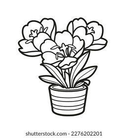Crocus flowers grow in a little pot coloring book linear drawing isolated on white background