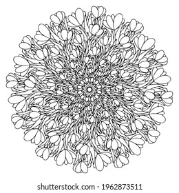 Crocus flowers and leaves hand-drawn mandala stock vector illustration. Blossom flowers black outline isolated on white. Spring floral linear coloring page for adults printable worksheet 