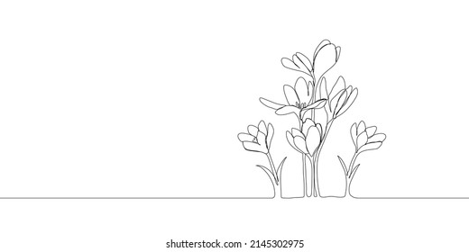 Crocus flowers silhouette. One single line. Vector illustration. Doodle floral border. Black and white. Wedding design