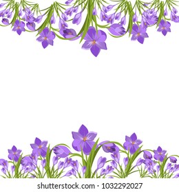 Crocus flowers spring floral beautiful violet flowering illustration vector nature purple april plant. Flowered blossom season frame for easter beauty card petal garden romantic blooming flayer banner