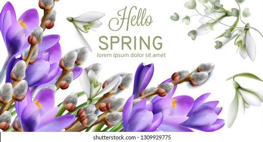 Crocus flowers Vector watercolor. Spring season delicate frame. Template design card for wedding, birthday, mother days