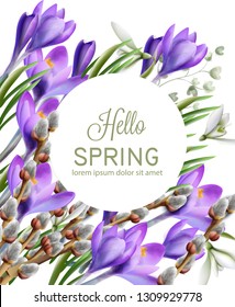 Crocus flowers Vector watercolor. Spring season delicate frame. Template design card for wedding, birthday, mother days