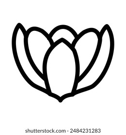 Crocus Icon design in filled and outlined style