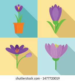 Crocus icons set. Flat set of crocus vector icons for web design