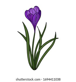 Umrisszeichnung.Die ersten Frühlingsblumen im Doodle-Stil.Violle Blumen.Floristik für Dekorationen, Postkarten, Hochzeiten, Geburtstage.Vektorillustration Illustration