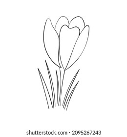 Dibujo del contorno cromático. flores primaverales al estilo Doodle. Vector