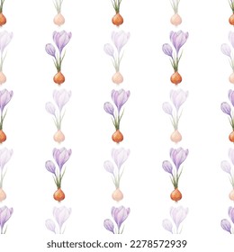 Crocus pattern. Saffron field. Seamless pattern with purple crocuses. Seamless   pattern on a transparent background. Background illustration.  Wrapping background