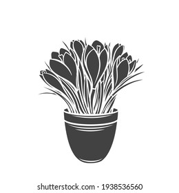 Crocus en un icono de glifo de olla, placa monocromática de corte vectorial. Flores de jardín para la producción de jardinería. Ilustración de herramientas de jardín.