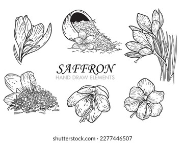 Crocus or saffron flower package with pistils. Botanical flowers. Isolated illustration element. Hand drawn vector flowers in line art style for background, texture, packaging, ornament design.