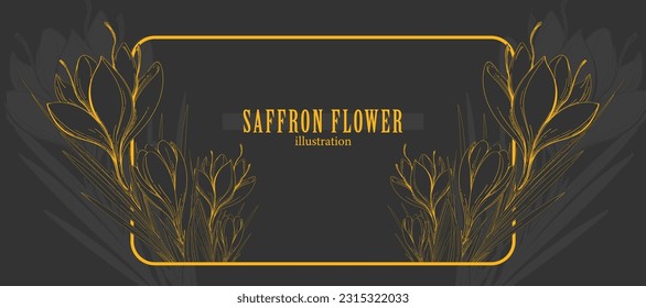 Crocus or Saffron flower. Saffron flower vector. Saffron flower isolated on grey background. Vector hand drawing wildflower. Saffron illustration. Good for packaging design, labels or decoration