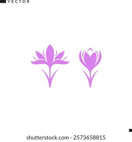 Crocus silhouette. Purple flower icon. Isolated crocus vector