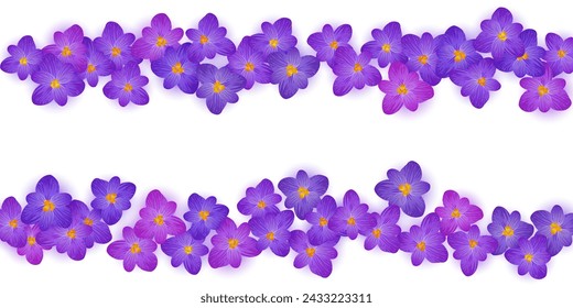 Crocus spring flowers Easter vector card bloom border. Saffron flowers crocus blossom spring frame border for text. Easter greeting card saffron floral design. Religious holiday bloom border banner