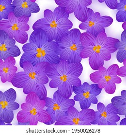 Crocus spring flowers seamless pattern vector card or banner background. Saffron flowers crocus blossom spring floral design. Saffron bloom floral pattern. Spring violet puprle blossom fashion print