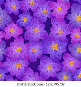 Crocus spring flowers seamless pattern vector card or banner background. Saffron flowers crocus blossom spring floral design. Saffron bloom floral pattern. Spring violet purple blossom fabric print