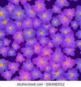 Crocus spring flowers seamless pattern vector card or banner background. Saffron flowers crocus blossom spring floral design. Saffron bloom floral pattern. Spring violet purple blossom fabric print