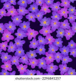 Crocus spring Blumen nahtlose Muster Vektorkarte oder Banner Hintergrund. Safron Blumen Krokusblüte Frühlingsblumen Design. Safran blüht florales Muster. violetter Frühlingsblütenmodedruck