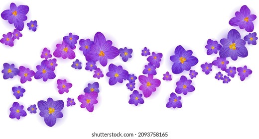 Crocus spring flowers vector illustration. Saffron flowers crocus blossom spring vector. Easter greeting card background saffron floral design. Religious holiday banner backdrop.