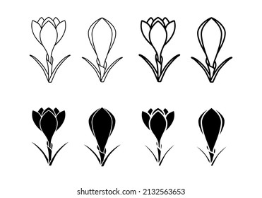 Crocus thick line, thing line and flat icons isolated on white background. Crocus sativus. Saffron flowers pictogram for spice production, eco emblem, sticker or other use. Vector illustration. Set.