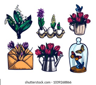 Crocus, tulips, Hyacinth, Lily of the valley hand drawn set. Isolated vector botanical illustration. Bouquet in a glass. Watering can with flowers. Bouquet in envelope. Mug with flowers. Engraving