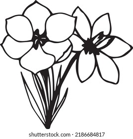 Crocus Vector Clip Art, Black and White