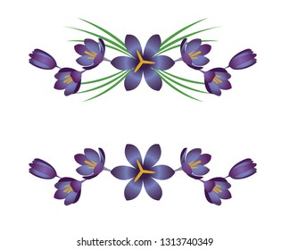 Crocus vignettes, decorative lines with flowers. Vector ornament.