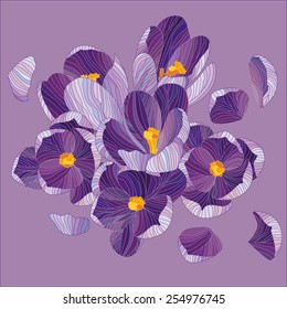 Crocuses. Beauty spring flower. Vector illustration. Cute card, poster, invitation, background. Lines color artwork.