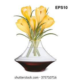 Crocuses blooming in vase. Vector illustration 