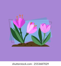 Crocuses cartoon illustration. Lilac flowers with green leaves. Spring flowers concept. Vector illustration can be used for topics like gardening, springtime, lawn