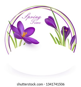 Crocuses. Crocus. Beautiful bright realistic flowers of bright purple color on a background. Happy Mother's Day Template. Greeting card. Springtime. Vector illustration.
