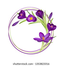 Crocuses. Crocus. Beautiful bright realistic flowers of bright purple color on a background. Happy Mother's Day Template. Greeting card. Springtime. Vector illustration.