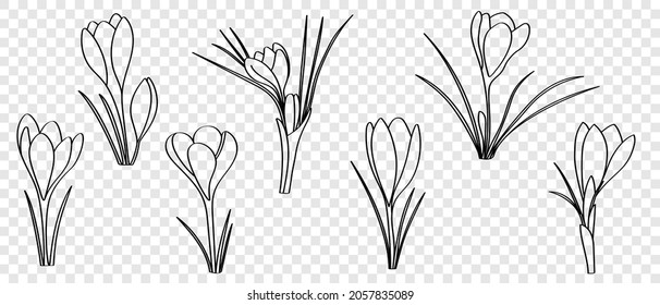Las cruces se dibujan con una línea negra en forma de doodle, dibujos de vector plano. Conjunto de flores primaverales con un contorno para el diseño de tarjetas y volantes.
