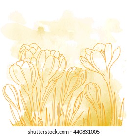 Crocuses. Flowers line drawn on a watercolor background. Spring flowers. Crocus leaves. Coloring. Abstract background of paint splashes and streaks