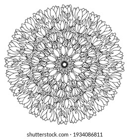 Crocuses flowers mandala springtime coloring page for adults vector. Blooming flowers circle hand drawn monochrome illustration. Funny spring bouquet of crocuses mandala for printing and coloring