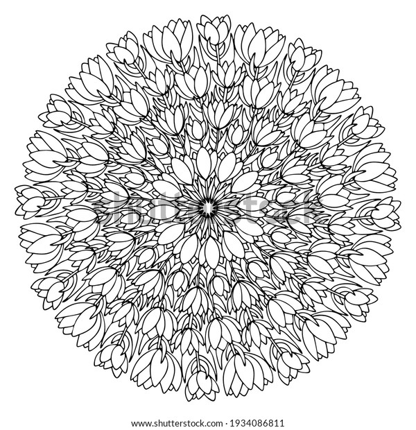 Crocuses flowers mandala springtime coloring\
page for adults vector. Blooming flowers circle hand drawn\
monochrome illustration. Funny spring bouquet of crocuses mandala\
for printing and\
coloring