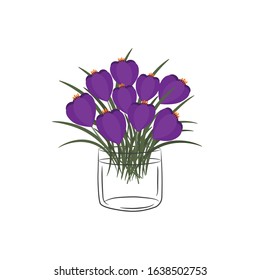 Crocuses in a glass cup. Bouquet of spring flowers. Floral composition. Vector illustration on a white background