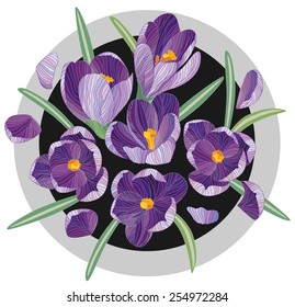 Crocuses on round frame. Beautiful design element. Spring bouquet. Vector illustration.