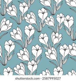Crocuses on a turquoise background. Botanical pattern with crocuses.
