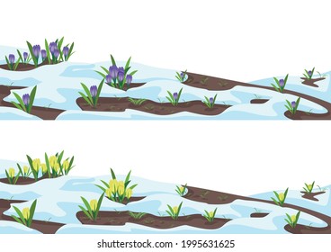 Crocuses in the snow set. The first spring flowers bloom from the snow. Beautiful spring elements background. Vector horizontal illustrations