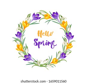 „Hello Spring“ Crocuses and snowdrop flowers wreath,
Spring flowers group,
Vector illustration isolated on white background
