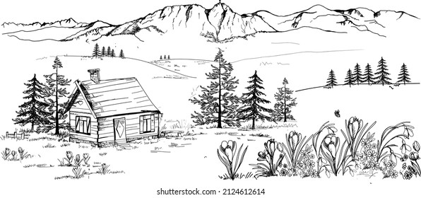 Crocuses In Zakopane In Podhale, Spring In The Mountains. A Wooden Hut, Crocuses, Saffron And Snowdrops. Sketch, Drawing, Scribble, Vector.