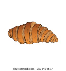 Croissant is perfect for design caffeine . Hand drawn vintage style .Vector illustration. Isolated on white background.