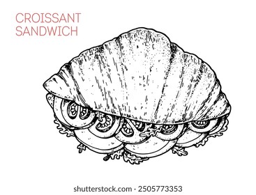 Croissant sandwich sketch. Hand drawn vector illustration.	