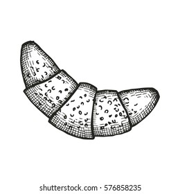 croissant sketch vector illustration