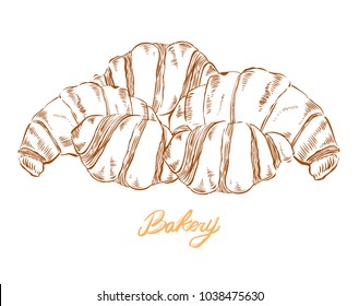 Croissant vector hand drawn set illustration.