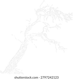 Crooked tree outline drawing showcases gnarled branches and sparse leaves. Light grey line art depicts a leaning windswept bonsai. Vector design is ideal for coloring book pages.