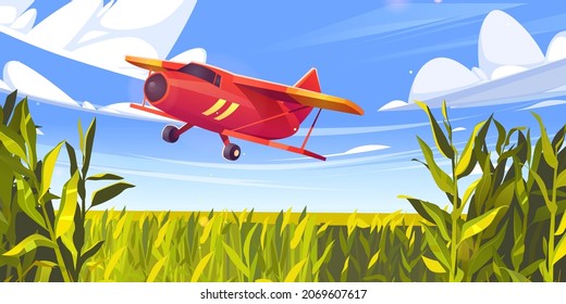 Crop duster plane flying over green corn field, farm airplane in blue cloudy sky. Agricultural cropduster machine spraying pesticides on meadow, farming aircraft, aviation, Cartoon vector illustration