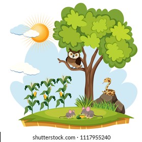 Crop Farm and Wild Animals illustration